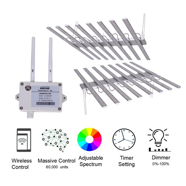 Приведенные регулируемые товарного сорта растут света, начало семени растут свет