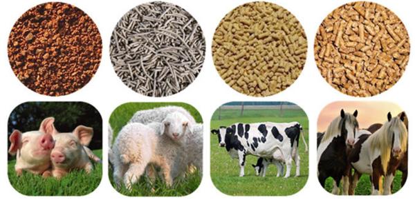 Pig And Cow Animal Feed Making Machine , Full Automatic Pet Food Manufacturing Equipment