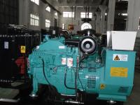 Inverseur automatique de stamford de puissance diesel de générateur du dérapage mounted196kw Cummins