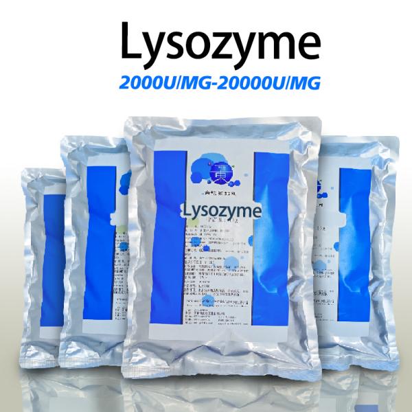 Light Yellow Powder Lysozyme Enzyme 2000U/MG Soluble In Water