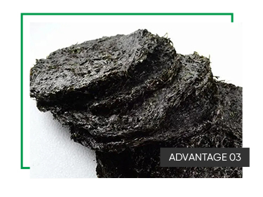 Delicious Seaweed Superfood New Harvest Dried Porphyra Seaweed Unlock the Nutritional Power of the Sea