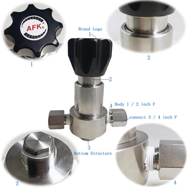 Laboratory 6000PSI Stainless Steel Pressure Regulator 316L AFK R12