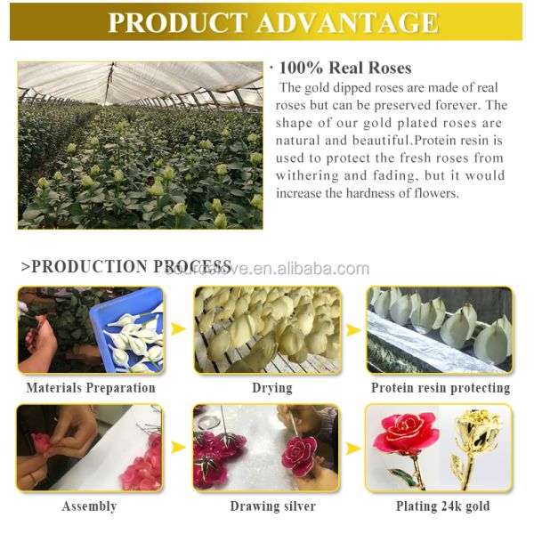 Gold Plated Rose with Gold Leaf Flower Girlfriend Gift 24k Gold Plated Natural Rose for Valentine's , Mother's Day Gifts