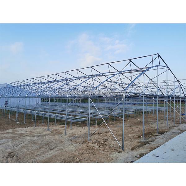 Film Covered Greenhouse Hydroponics System Agricultural DWC Hydroponics System