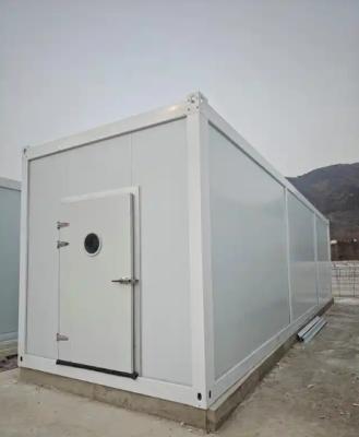 5000-Capacity Mushroom Cultivation Container Farm with Climate Control