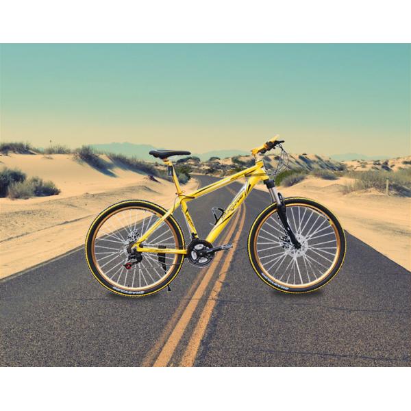 Adult 26×1.95 Lightweight Aluminum Mountain Bike