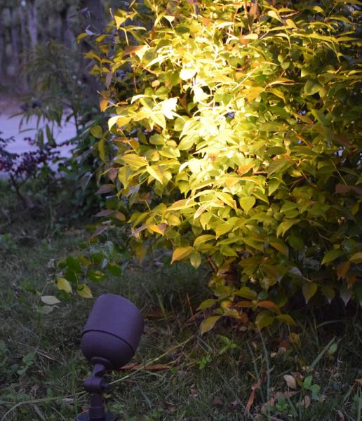 12V Outdoor LED Spotlight with Low voltage LED Wall Wash Super Bright Top Dog LED Downlighting Tree 12V LED Up Lights