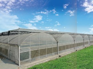 Эффективное выращивание культур Солнечные сельскохозяйственные теплицы круглый год