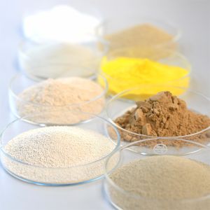 Термостабильный фермент щелочной протеазы для мясных продуктов