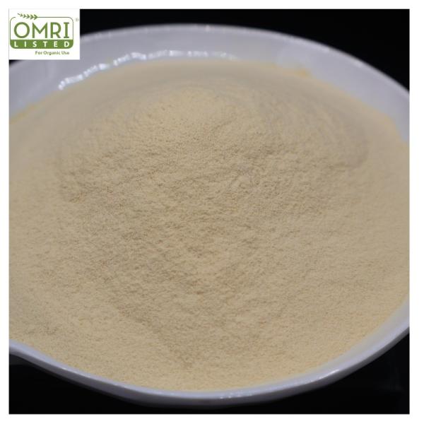 OMRI-Certified Non-GMO Enzymatic Hydrolyzed Soy Protein Powder with High Amino Acid Bioavailability for Industrial Fermentation