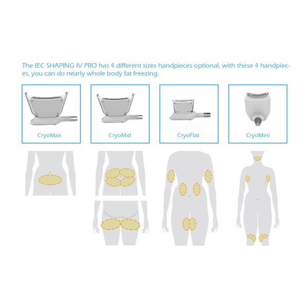 2017 newest design products supply OEM/ODM service Cryolipolysis Slimming (ICE SHAPING IV PRO)