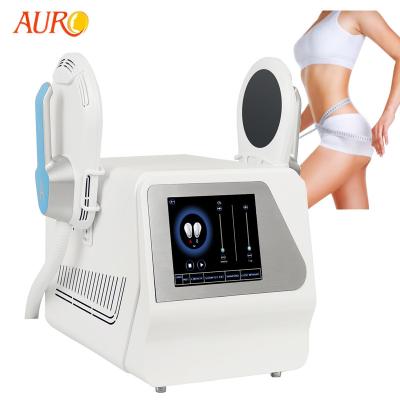 Hiemt Beautiful Electric Muscle Stimulator Machine RF EMS Therapy Vibration