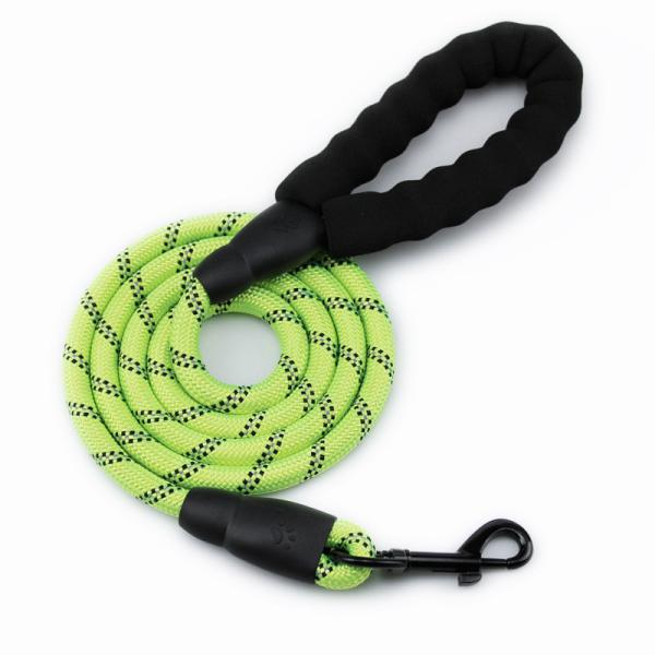 Pet Leashes Padded Handle Customized Color Portable Comfortable Free Reflective Nylon Rope