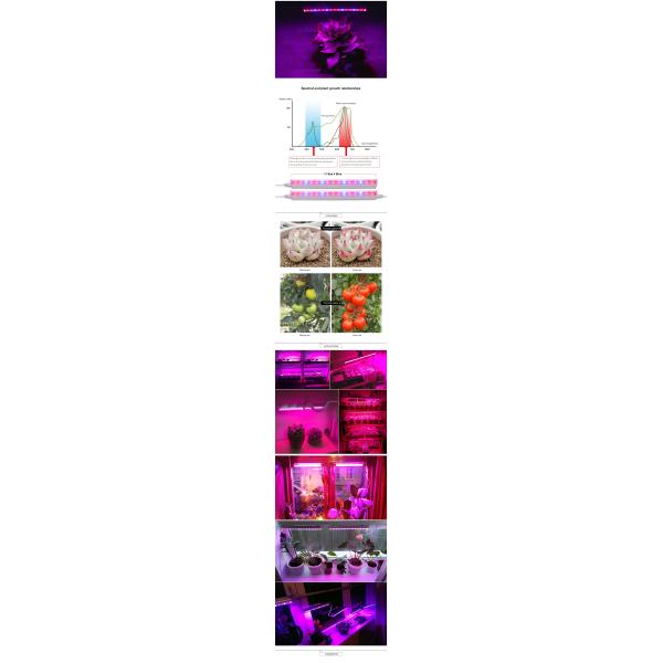 Full Spectrum LED Grow Light 30cm 25W Plant Lighting For Flowers Seedling Greenhouse