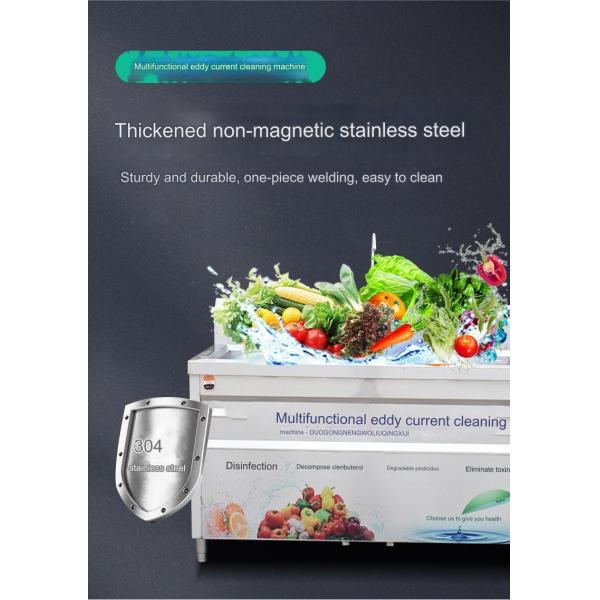 100kg/h Capacity Eddy Current Ozone Disinfection Vegetable Washing Machine for Hotels