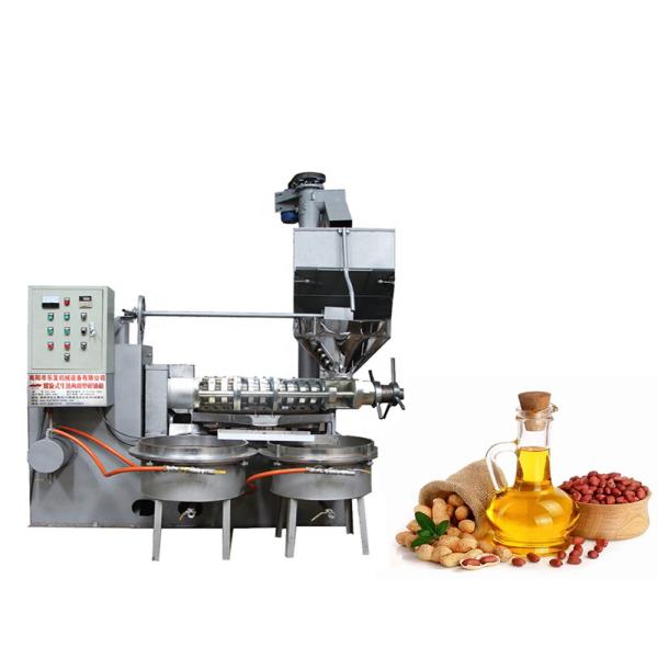 L'huile de sésame de tournesol et de colza de cacahuète à pressage à froid et à