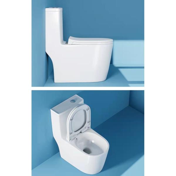 Porcelain Ceramic Wall Hung Toilet White Europe Style Bathroom with Buffer Cover Plate