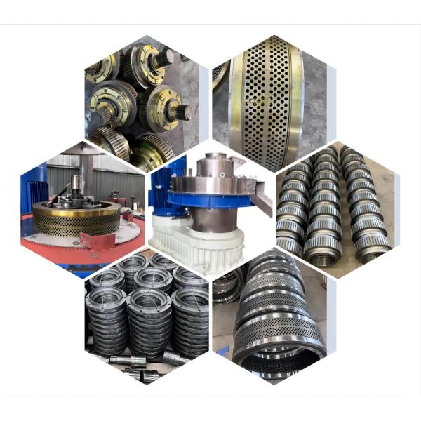 Machine de fabrication de granulés de bois personnalisée pour une grande production 160 kW 132 kW 90 kW