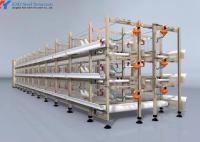 Facile à installer Cage de poulet de poulet Système d'alimentation automatique de poulet pour volaille