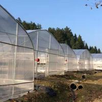 Serre chaude simple d'envergure de haute de tunnel de plastique bâche gothique de feuille pour l'élevage d'usines