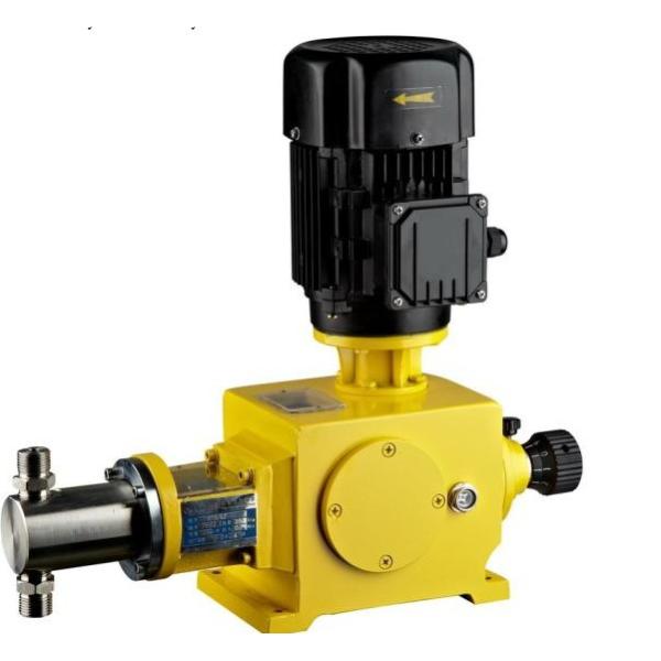 Diaphragm Dosing Pump with China Real Manufacturers