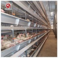 Chambre galvanisée à chaud de ferme avicole de cage de volaille de couche de 72 poulets