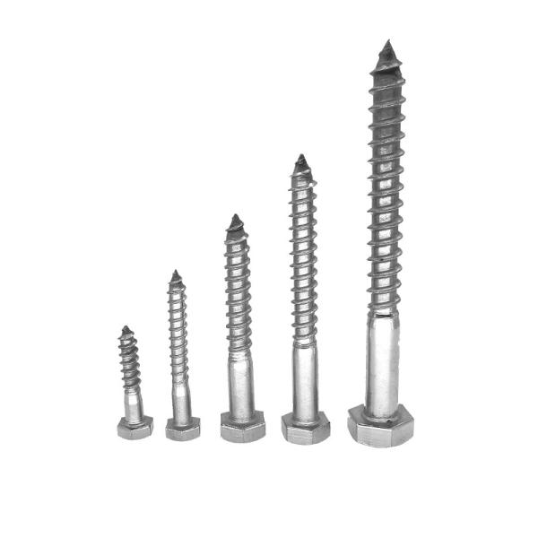 Stainless steel wood screws customized