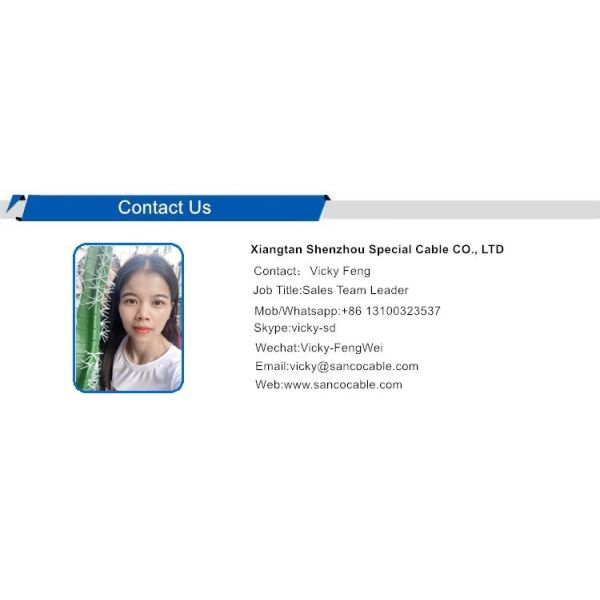 Tin Coated 10 AWG ETFE Electric Wire Manufacturer