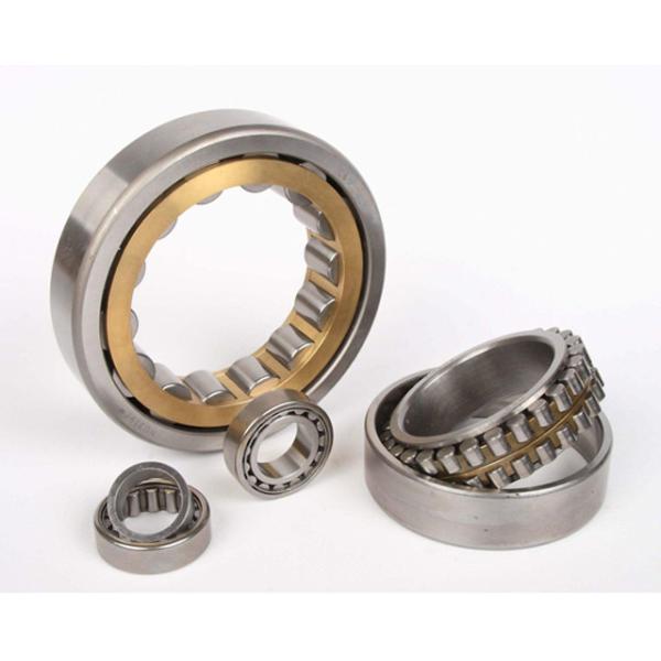 Original Flag Germany Cylindrical Roller Bearing N Nu Nup Nj2316