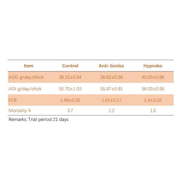 Sunhy Water Soluble Probiotics For Poultry ISO Certified