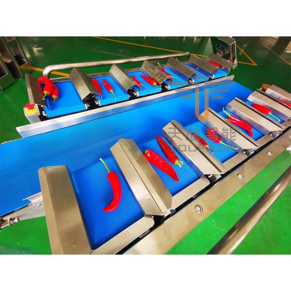 Weigher Multihead плода пояса овощей IP65 12 моркови