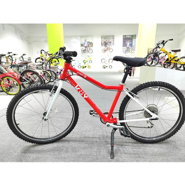 Alliage d'aluminium 24' / 26' en acier Vélos de ville Vélos de montagne pour femmes