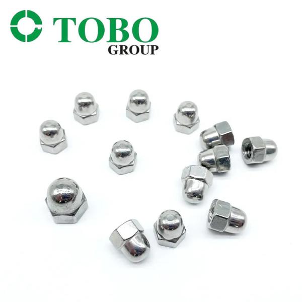 304 Stainless Steel Hex Cap Nut DIN 1587 Hexagon Domed Cap Nut