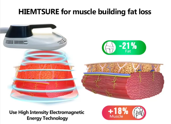 532 Nm Green Light Laser Red Light 10d Laser Fat Reduction Ems Abdominal Machine