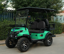 Affordable Electric Car Golf Cart with 120Ah Lead Acid Battery and Front LED Headlight