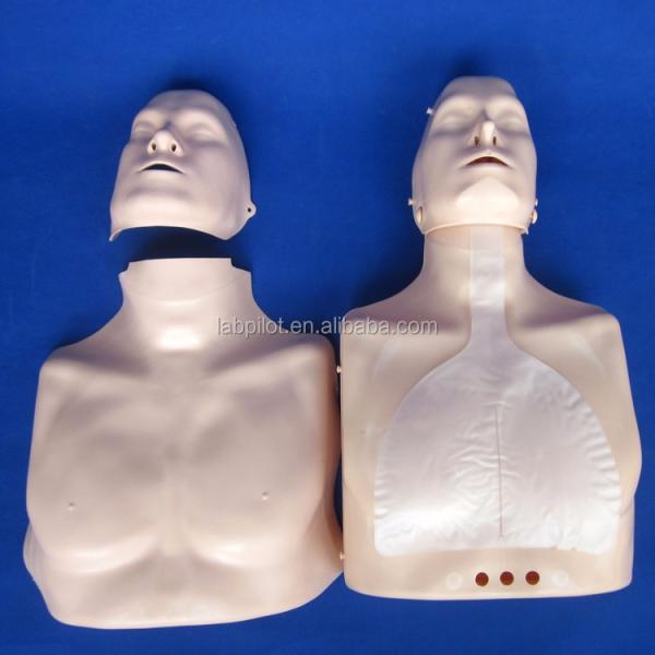 Half-body CPR Training Manikin The Perfect Addition to Your Emergency Skills Teaching