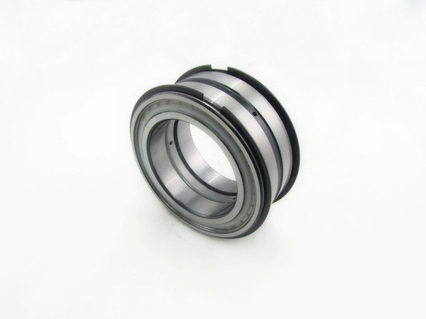 Needle Thrust Bearing Cylindrical Roller Bearing SL045010PP INA