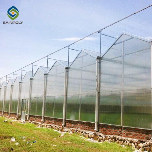 120km/H Multi Span Polycarbonate Greenhouse With Irrigation System