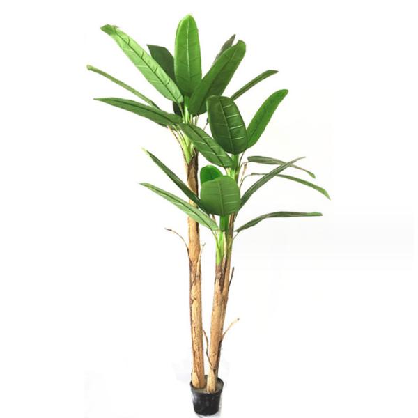 Вечнозелёное растение больших листьев искусственное покидает заводы пола Japonica