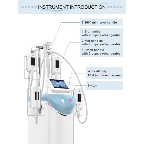 5 Working Handles Fat Freezing Machine For Full Body Fat Loss