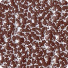 Пальто порошка мебели металла металлическое бронзовое, внутреннее электростатическое покрытие порошка