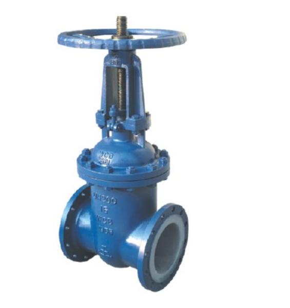 GOST Standard PTFE Lined Gate Valve Flange Type Casting Material For Food