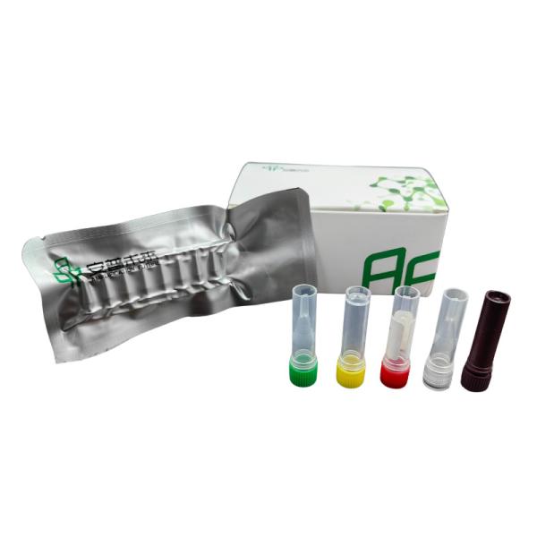 High Detection Specificity Toxoplasma Gondii Animal Disease Kit With Components Buffers