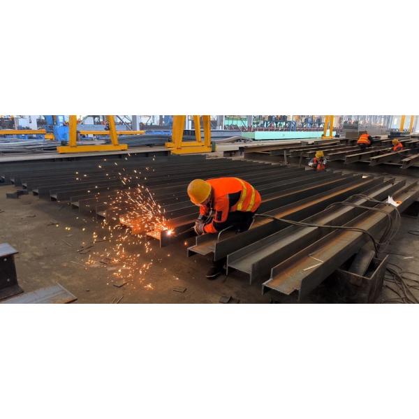 Light Weight and Easy Installation Prefabricated Steel Structure Warehouse for Autocad