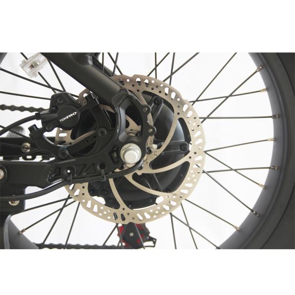 City Riding Made Fun with 48V Retro Electric Bike and Lithium E-Bike Battery Fat Tire