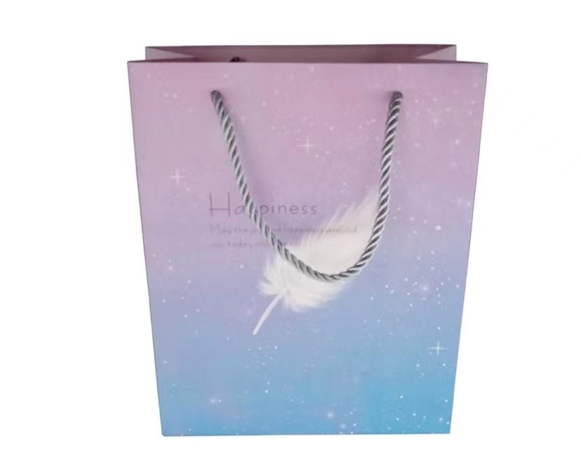 Gravure 27cm*20.3cm*11cm печатая косметические бумажные мешки с кнопкой