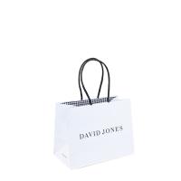 Compra pequena luxuosa imprimindo feita sob encomenda dos sacos de papel da roupa do presente com punho