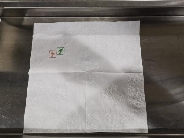 Cheap price 2 colors printing napkin tissue paper making machine packing production line for start business