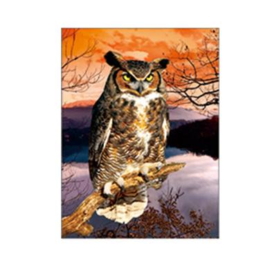 30x40cm Size 3D Pictures Of Animals 0.6mm PET Material Durable