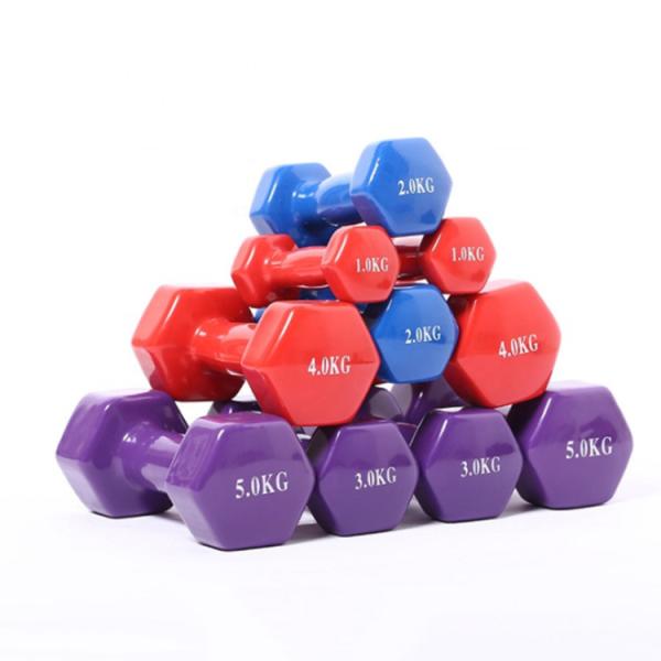 2KG Neoprene Coated Bone Shaped Dumbbells Cast Iron Colorful